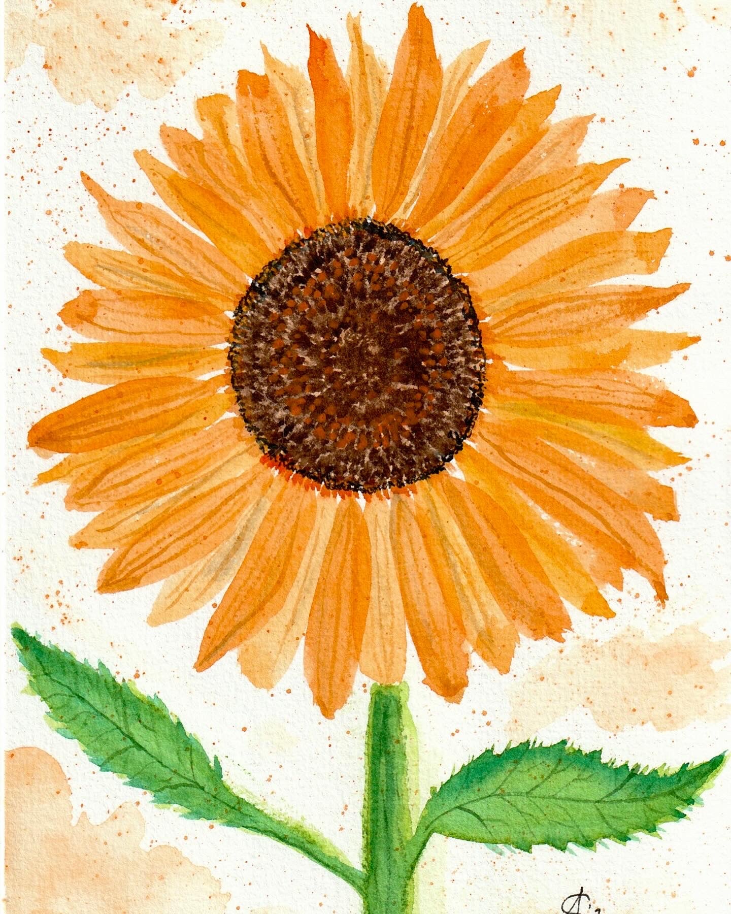Follow the Sun