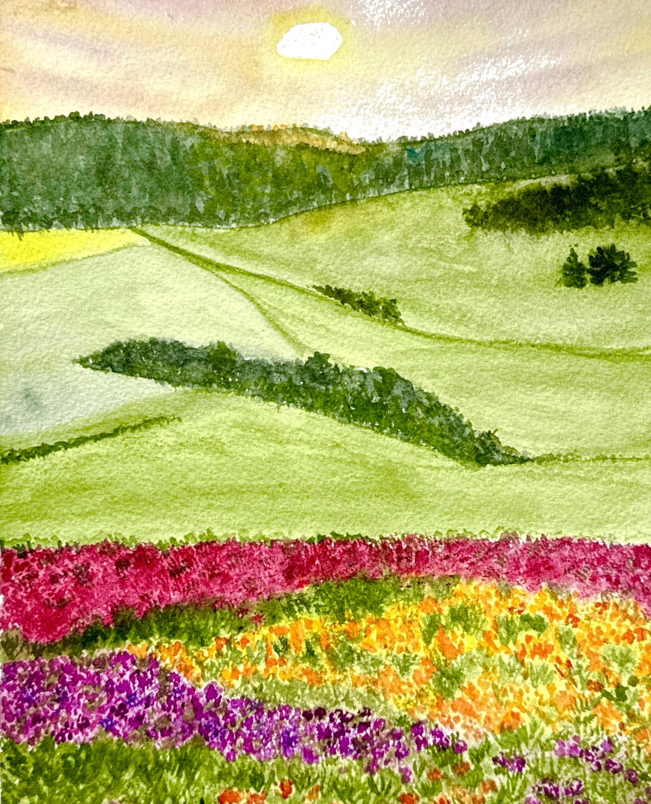 Field of Light