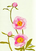 Nana's Blossoms