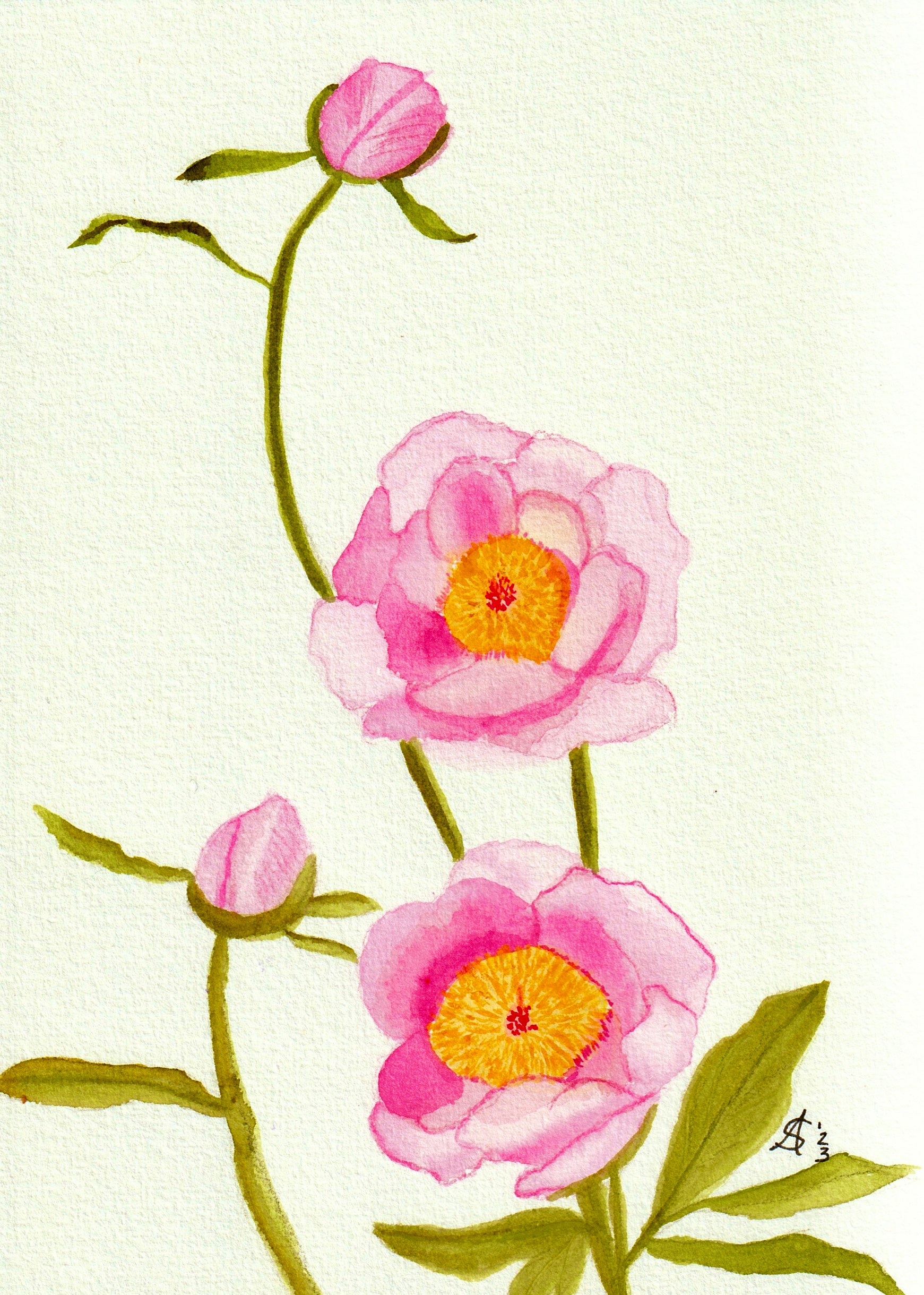 Nana's Blossoms