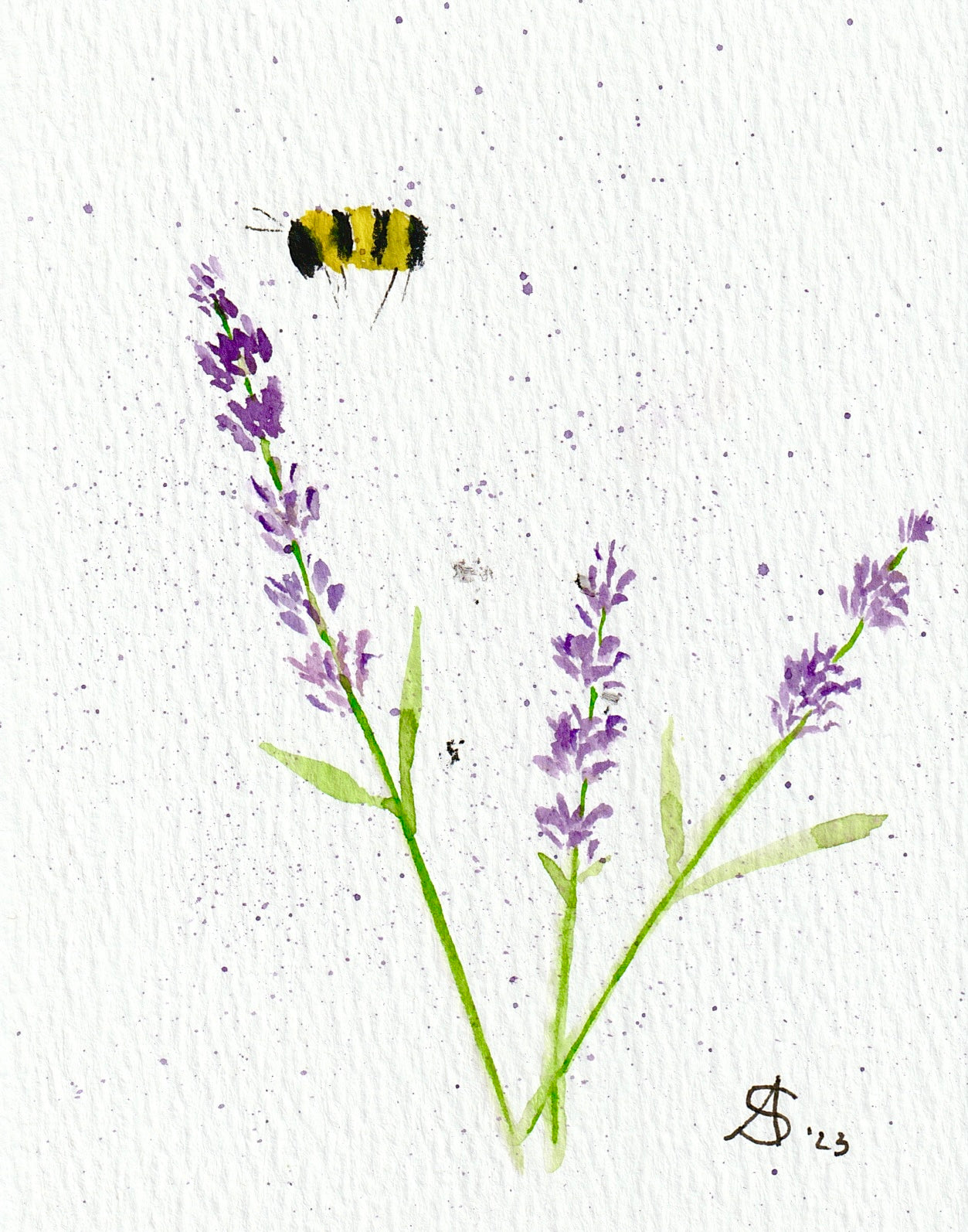Visit to Lovely Lavender