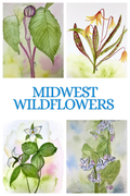 Wildflower Quartet