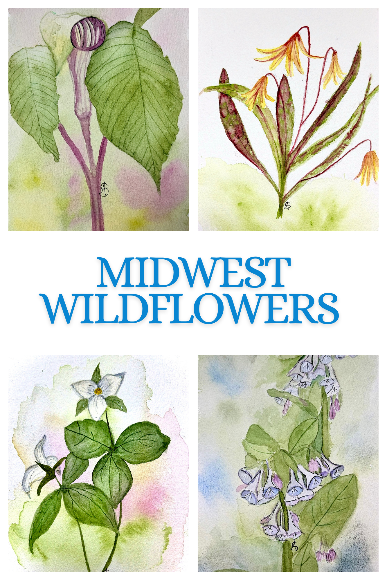 Wildflower Quartet