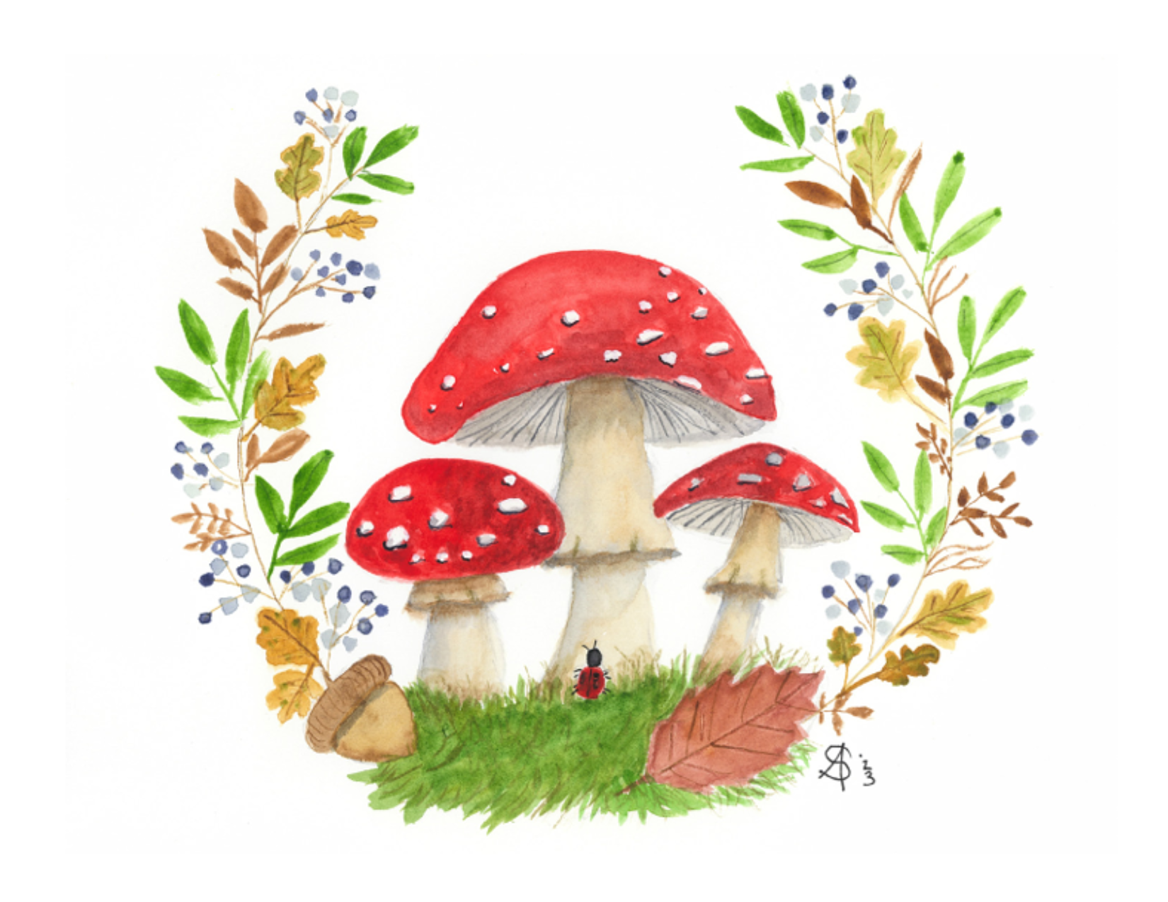 Mushroom Magic