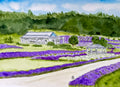 Where Lavender Keeps It's Secrets