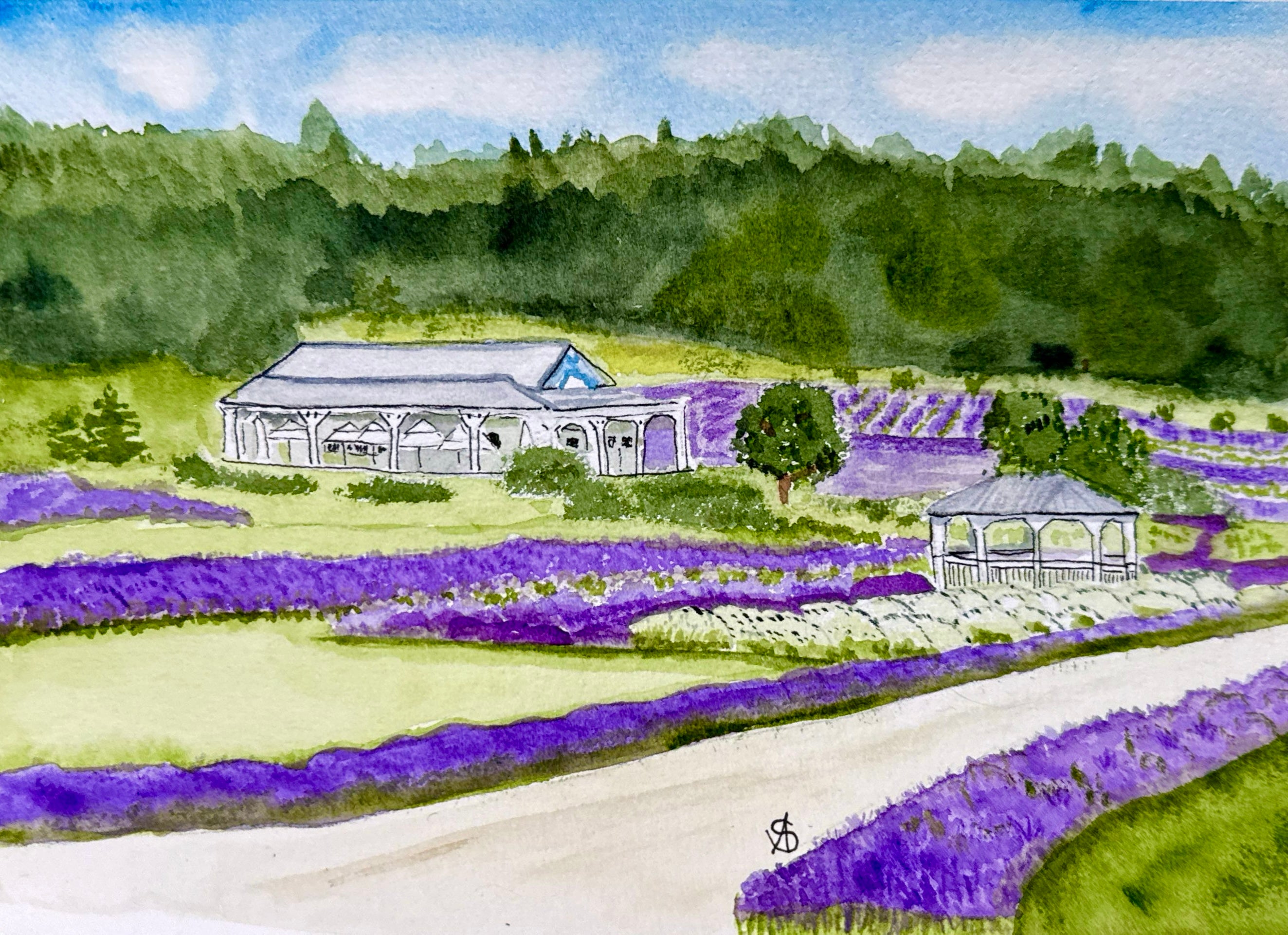 Where Lavender Keeps It's Secrets