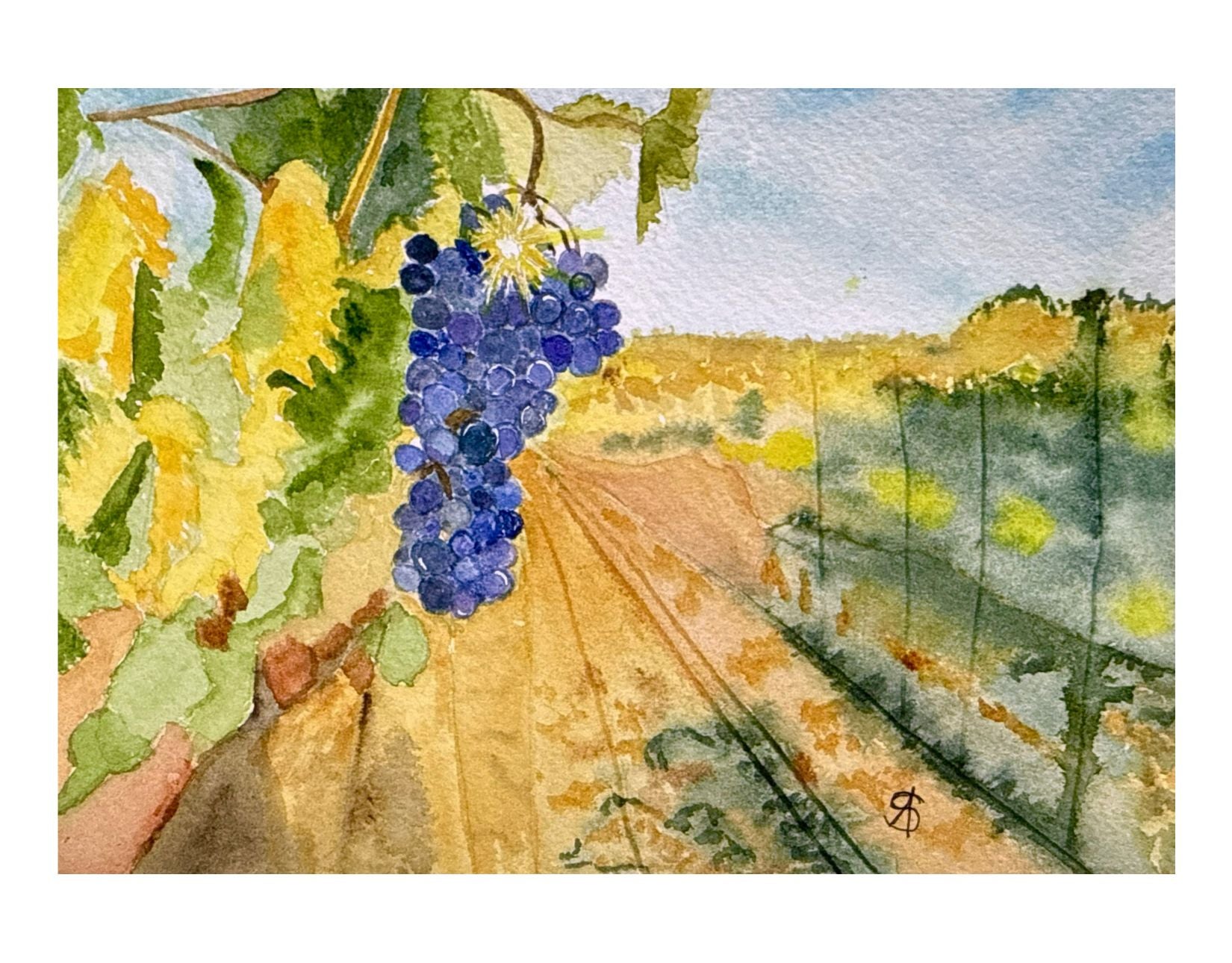 Michigan's Bounty - Brys Estate & Vineyard